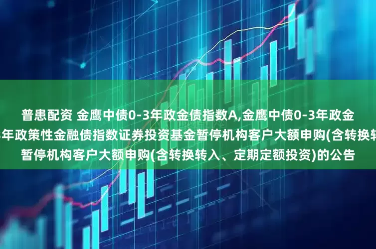 普患配资 金鹰中债0-3年政金债指数A,金鹰中债0-3年政金债指数C: 关于金鹰中债0-3年政策性金融债指数证券投资基金暂停机构客户大额申购(含转换转入、定期定额投资)的公告