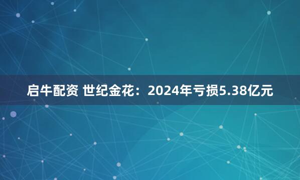 启牛配资 世纪金花：2024年亏损5.38亿元