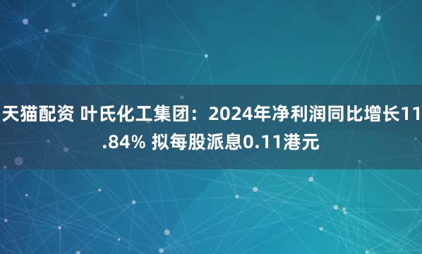 天猫配资 叶氏化工集团：2024年净利润同比增长11.84% 拟每股派息0.11港元